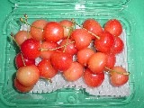 さくらんぼ