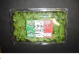 ヤングリーフ
