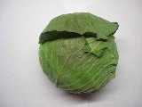 キャンディーキャベツ