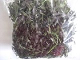 サラダ水菜