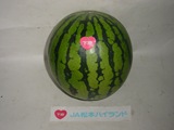 10880西瓜