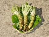 わさび芋