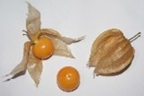 食用ほおずき