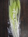 サラダうるい