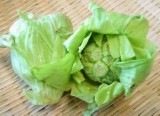 蕗玉