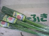 長ふき