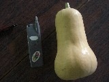 バターナッツ