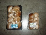 肉厚生椎茸