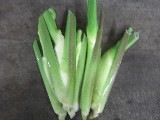 まこも茸