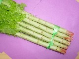 チシャトー