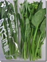 アスパラ菜
