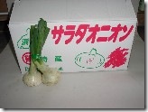 ｻﾗﾀﾞｵﾆｵﾝ