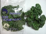 ちじみほうれん草