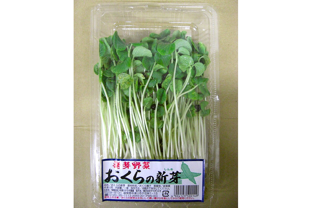 おくらの新芽 丸友中部青果