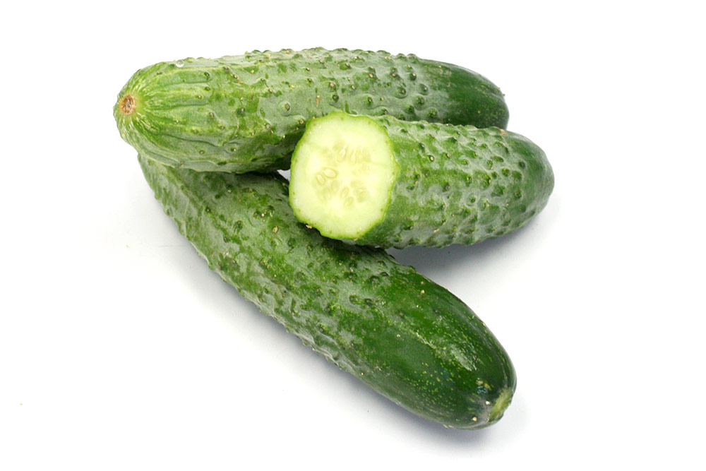 信州伝統野菜 八町きゅうり コンパクト発送
