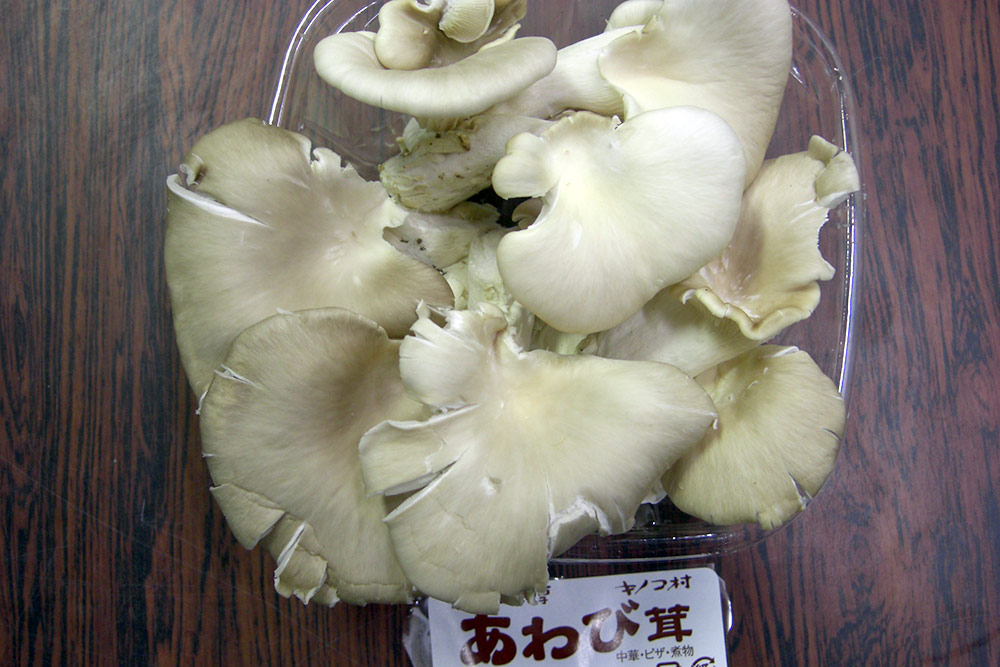 あわび茸 丸友中部青果 あわび茸 丸友中部青果