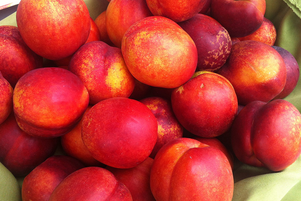 ネクタリン 丸友中部青果