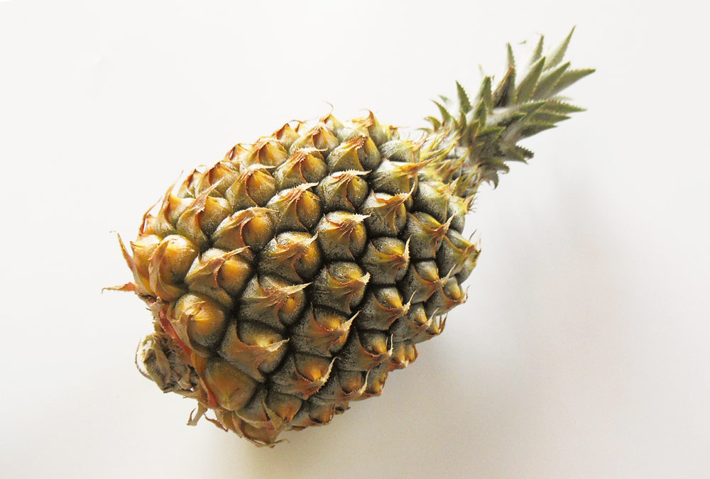 ボゴールパイン スナックパイン 丸友中部青果