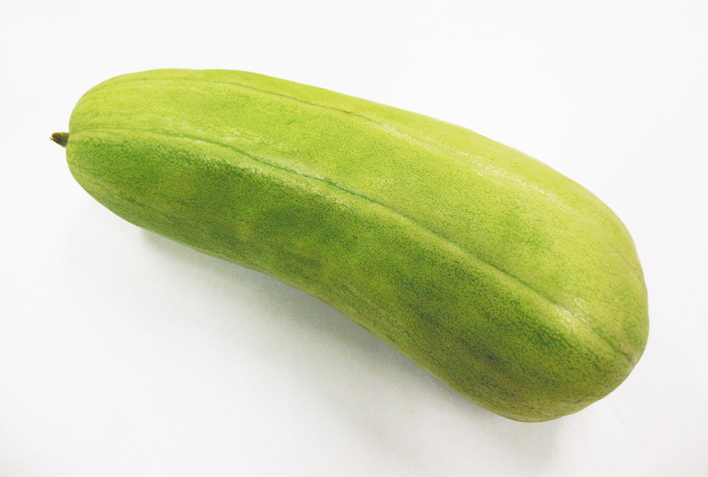 松本越瓜 信州の伝統野菜 丸友中部青果