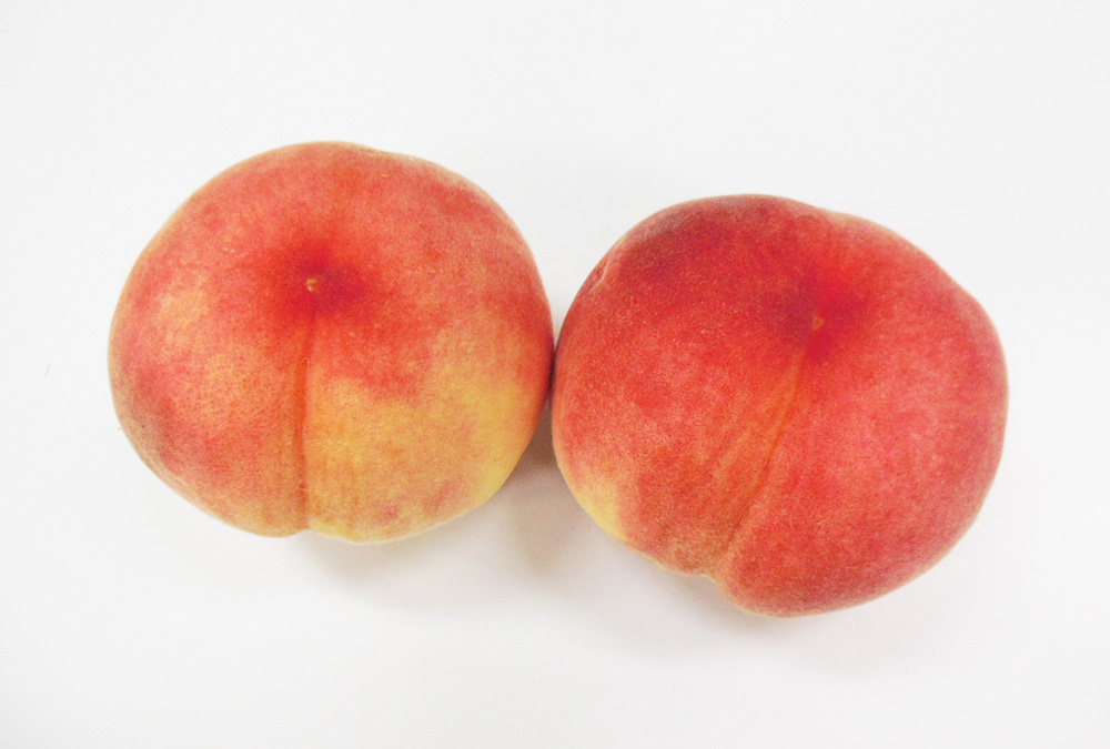 ea893b5bff85e65a11925fb565477a