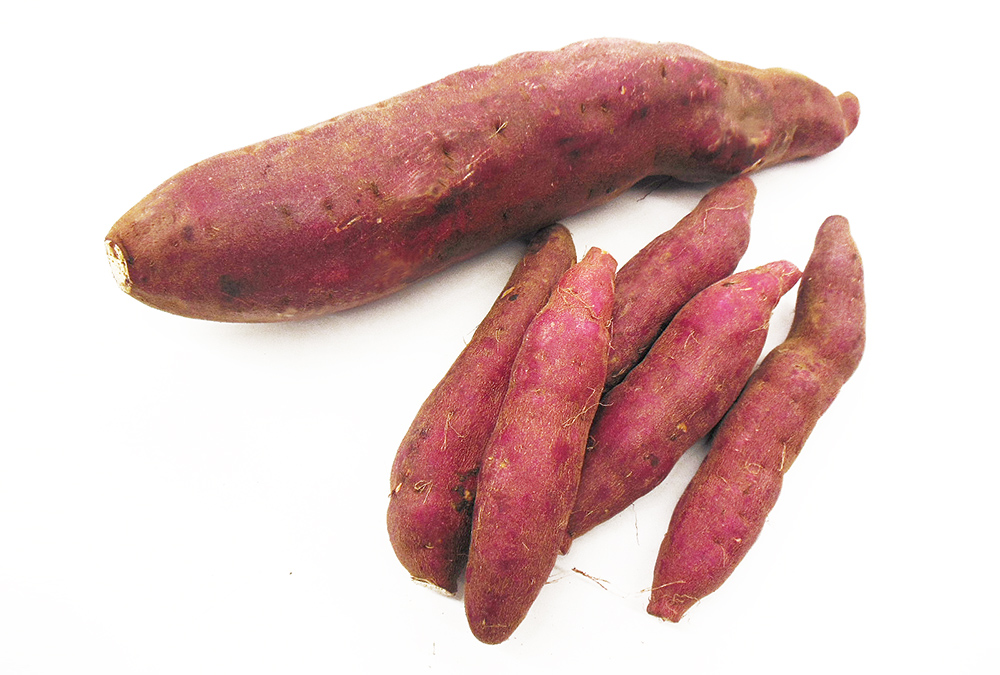 紅あずま | 丸友中部青果